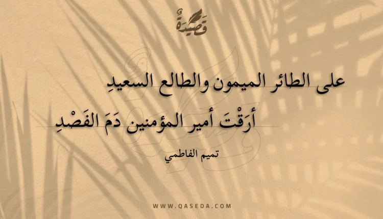 قصيدة على الطائر الميمون والطالع السعيد