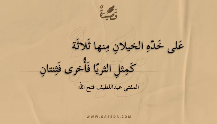 قصيدة على خده الخيلان منها ثلاثة