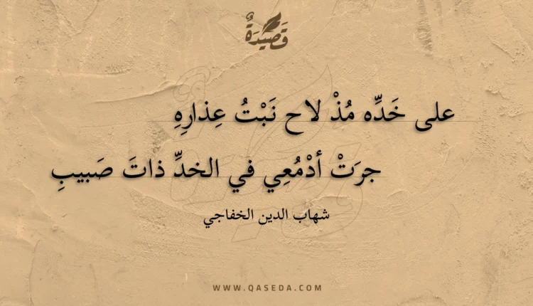 قصيدة على خده مذ لاح نبت عذاره