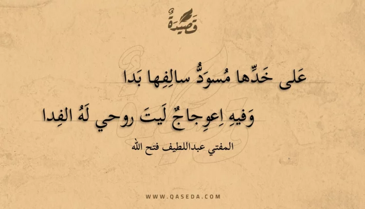 قصيدة على خدها مسود سالفها بدا