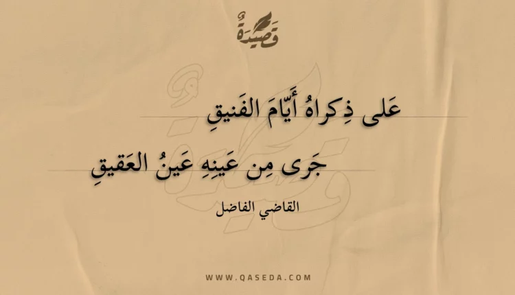 قصيدة على ذكراه أيام الفنيق