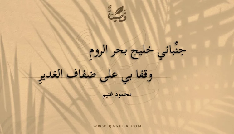 قصيدة على ضفاف الغدير