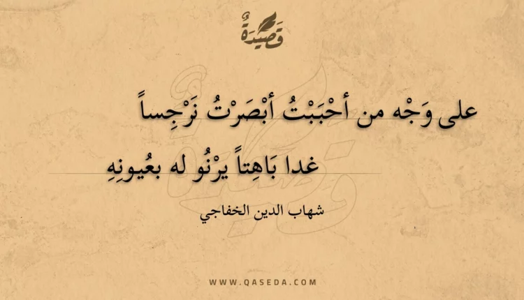 قصيدة على وجه من أحببت أبصرت نرجسا