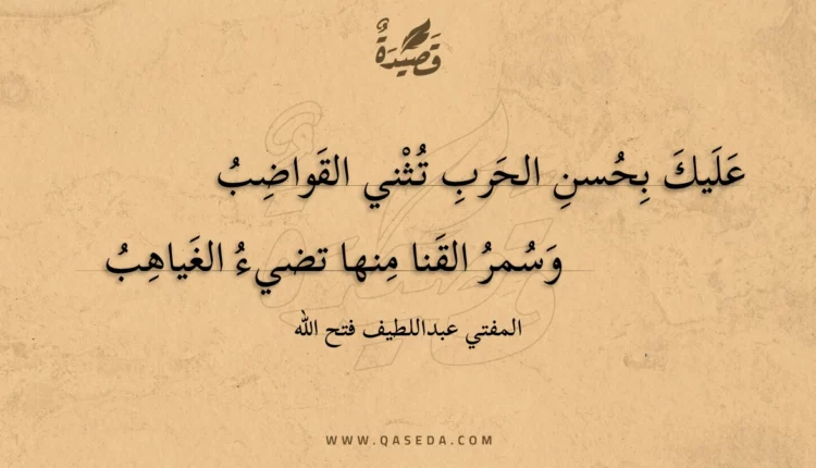 قصيدة عليك بحسن الحرب تثني القواضب