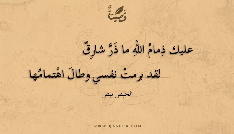 قصيدة عليك ذمام الله ما ذر شارق