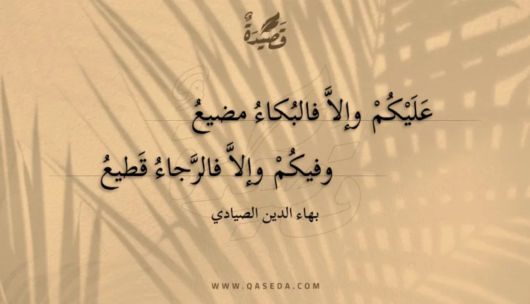 قصيدة عليكم وإلا فالبكاء مضيع