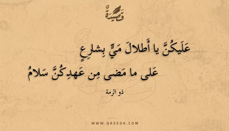 قصيدة عليكن يا أطلال مي بشارع