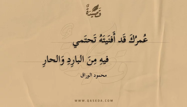قصيدة عمرك قد أفنيته تحتمي