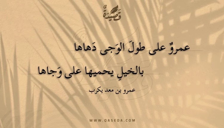 قصيدة عمرو على طول الوجى دهاها