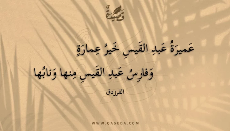 قصيدة عميرة عبد القيس خير عمارة