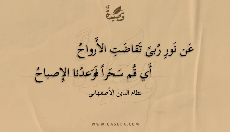 قصيدة عن نور ربى تقاضت الأرواح