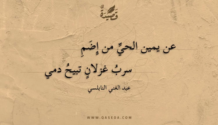 قصيدة عن يمين الحي من إضم
