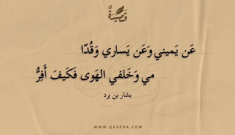 قصيدة عن يميني وعن يساري وقدا