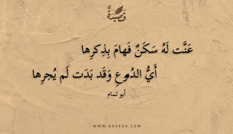 قصيدة عنت له سكن فهام بذكرها
