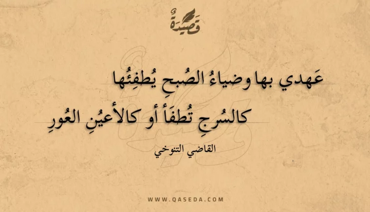 قصيدة عهدي بها وضياء الصبح يطفئها