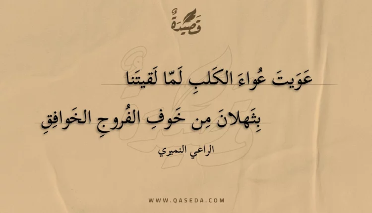 قصيدة عويت عواء الكلب لما لقيتنا