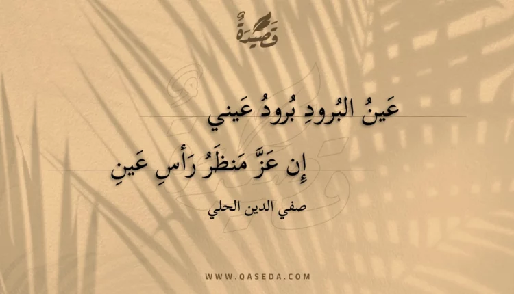 قصيدة عين البرود برود عيني