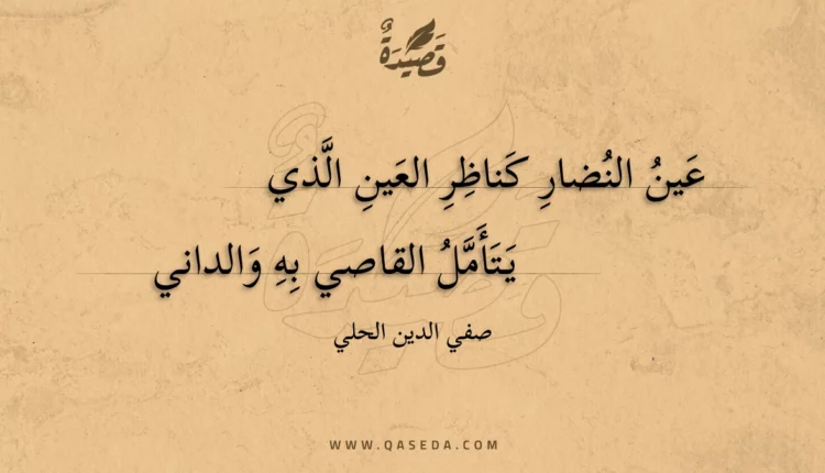 قصيدة عين النضار كناظر العين الذي