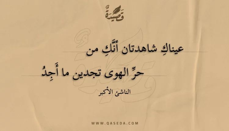 قصيدة عيناك شاهدتان أنك من