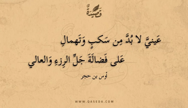 قصيدة عيني لا بد من سكب وتهمال