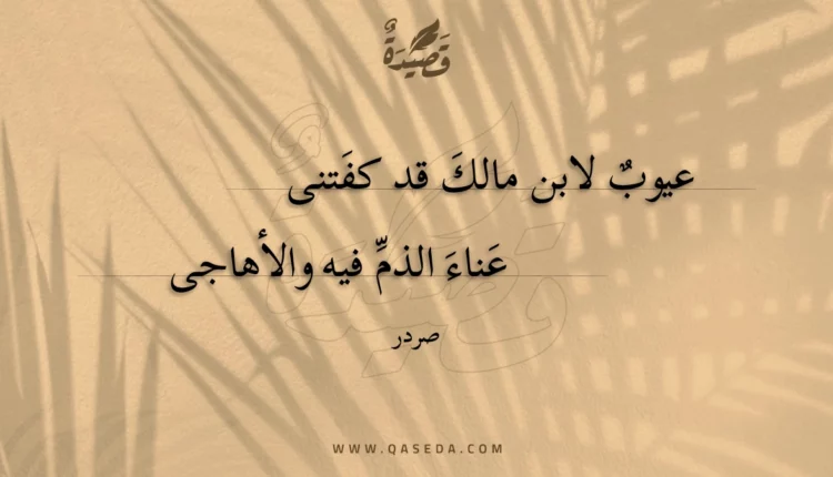قصيدة عيوب لابن مالك قد كفتنى