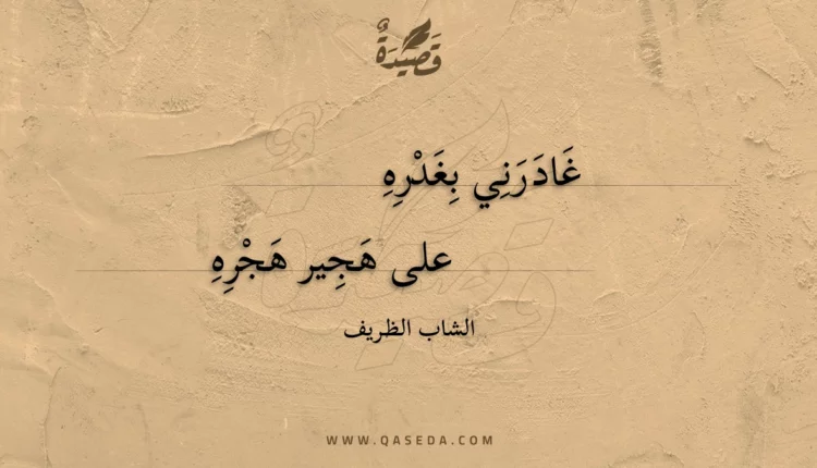 قصيدة غادرني بغدره