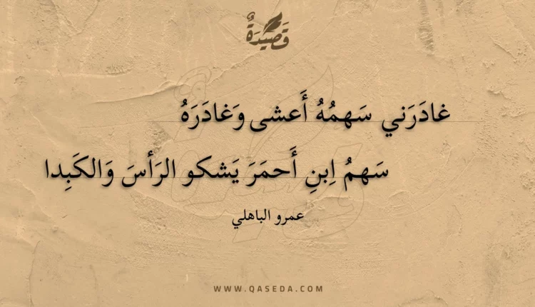 قصيدة غادرني سهمه أعشى وغادره