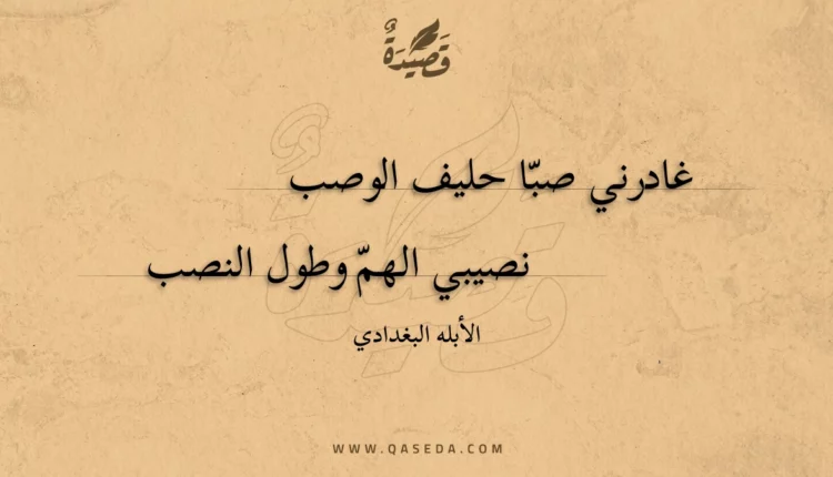 قصيدة غادرني صبا حليف الوصب
