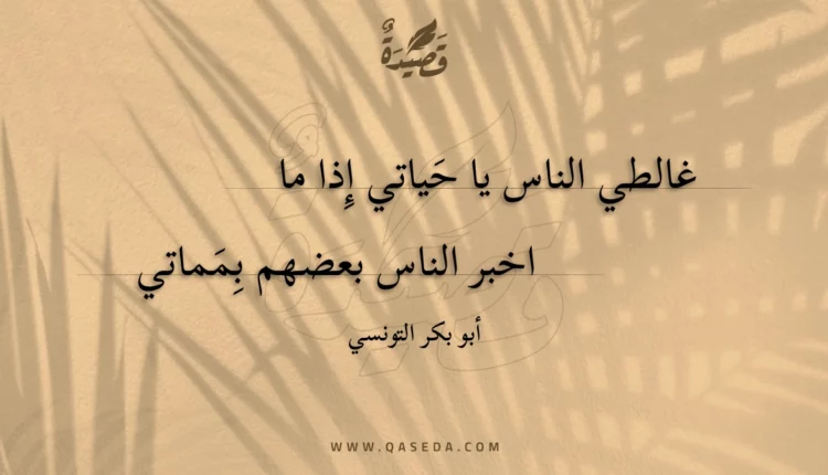 قصيدة غالطي الناس يا حياتي إذا ما
