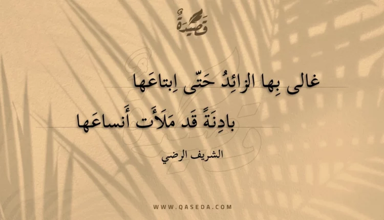 قصيدة غالى بها الزائد حتى ابتاعها