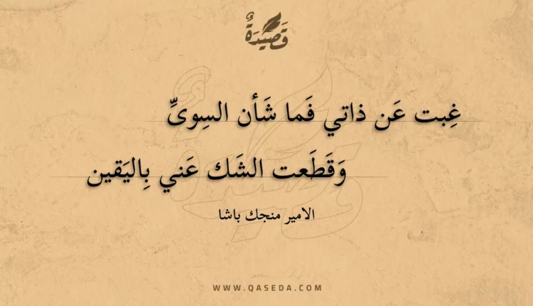 قصيدة غبت عن ذاتي فما شأن السوى