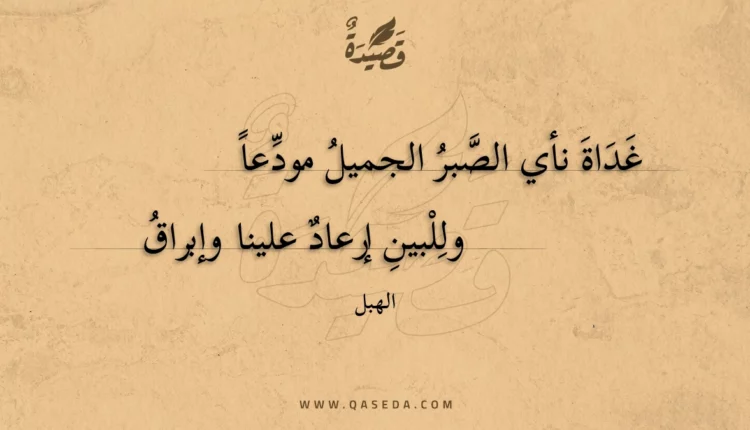 قصيدة غداة نأي الصبر الجميل مودعا