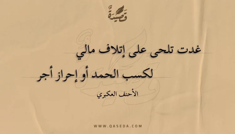 قصيدة غدت تلحى على إتلاف مالي