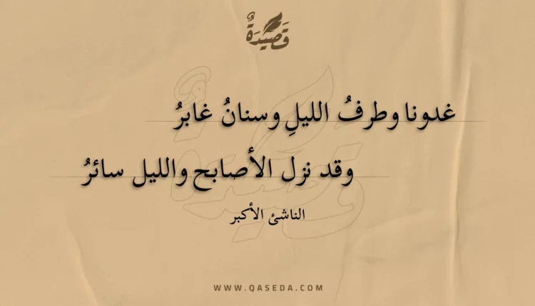 قصيدة غدونا وطرف الليل وسنان غابر