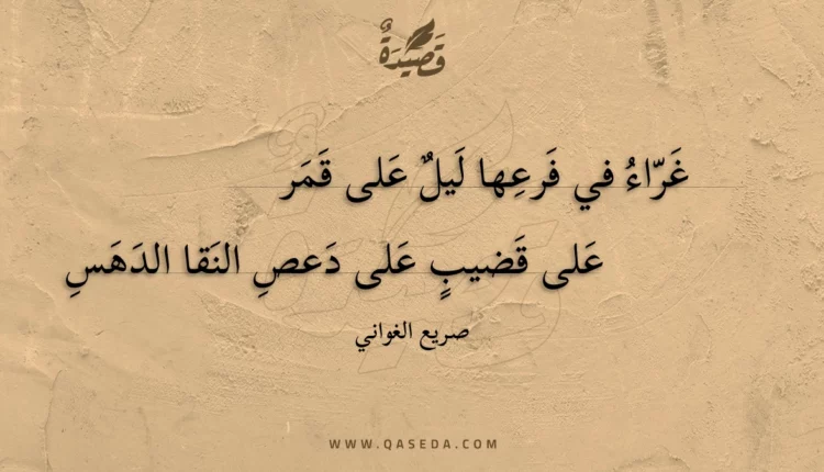 قصيدة غراء في فرعها ليل على قمر