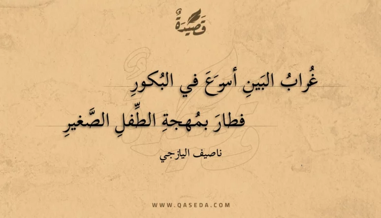 قصيدة غراب البين أسرع في البكور