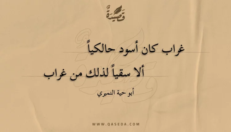 قصيدة غراب كان أسود حالكيا
