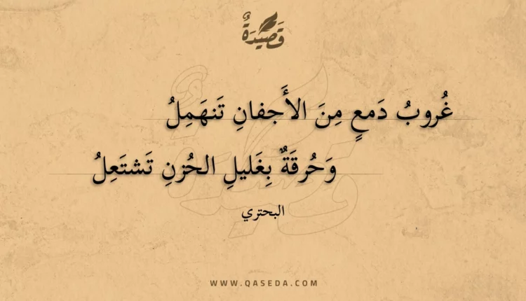 قصيدة غروب دمع من الأجفان تنهمل