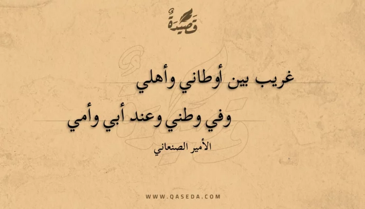 قصيدة غريب بين أوطاني وأهلي