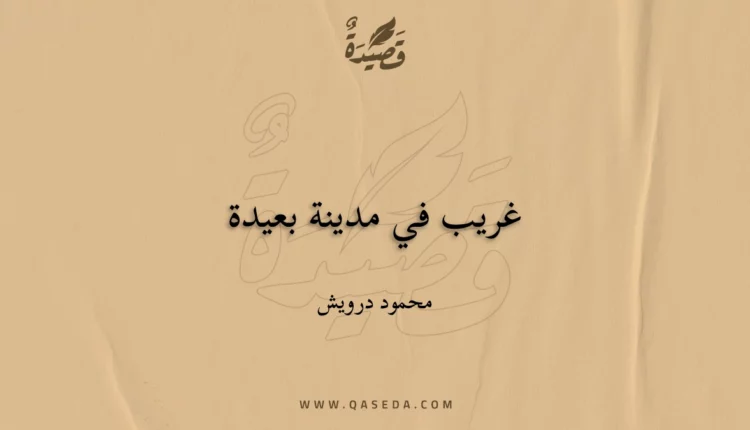 قصيدة غريب في مدينة بعيدة