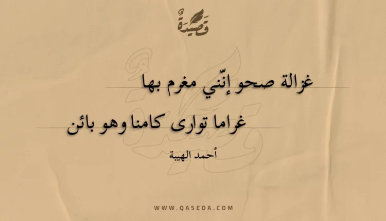 قصيدة غزالة صحو إنني مغرم بها