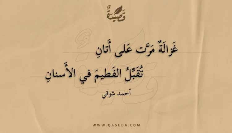 قصيدة غزالة مرت على أتان