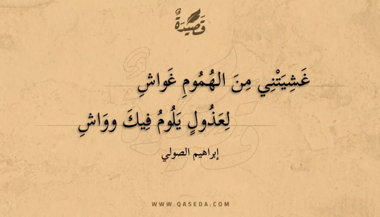 قصيدة غشيتني من الهموم غواش
