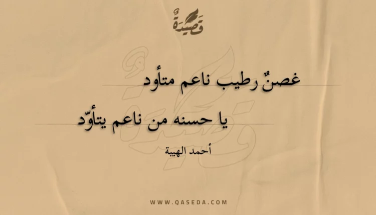 قصيدة غصن رطيب ناعم متأود