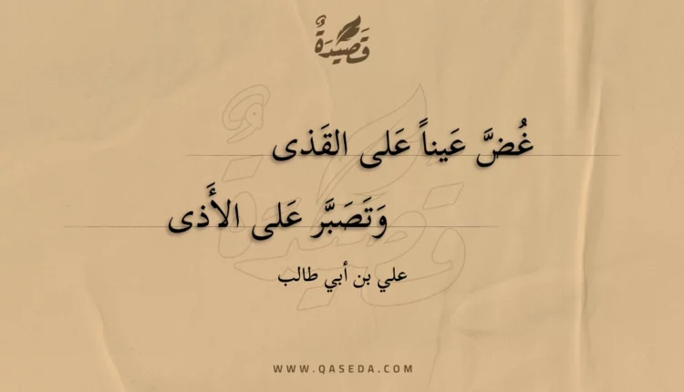 قصيدة غض عينا على القذى