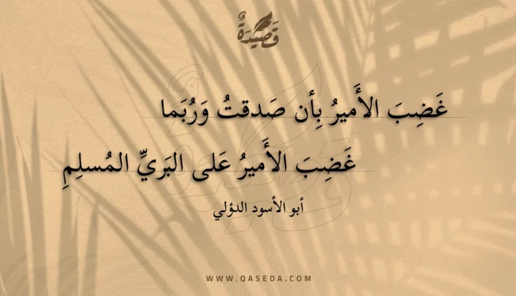 قصيدة غضب الأمير بأن صدقت وربما