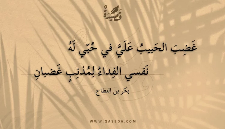 قصيدة غضب الحبيب علي في حبي له