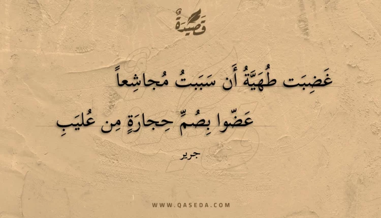 قصيدة غضبت طهية أن سببت مجاشعا