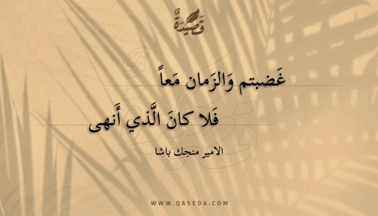 قصيدة غضبتم والزمان معا