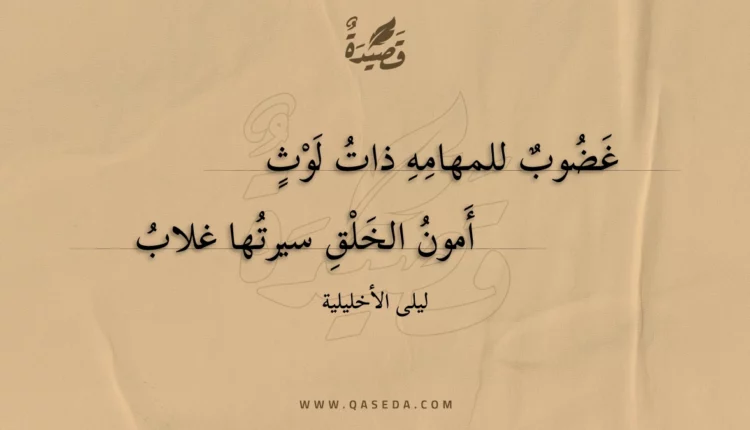 قصيدة غضوب للمهامه ذات لوث